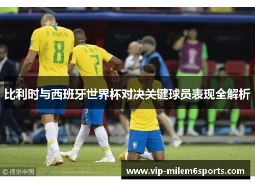 比利时与西班牙世界杯对决关键球员表现全解析