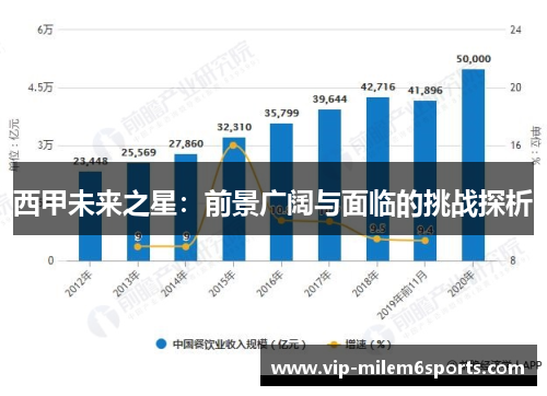西甲未来之星：前景广阔与面临的挑战探析