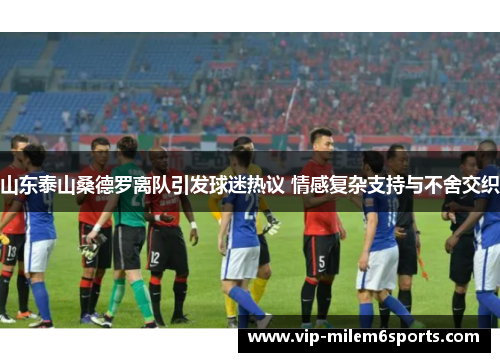山东泰山桑德罗离队引发球迷热议 情感复杂支持与不舍交织