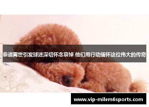 泰迪离世引发球迷深切怀念哀悼 他们用行动缅怀这位伟大的传奇