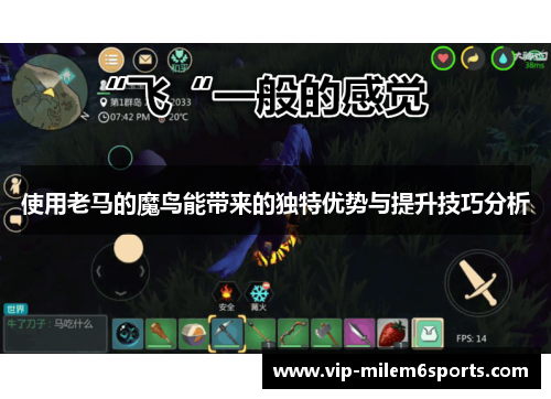 使用老马的魔鸟能带来的独特优势与提升技巧分析